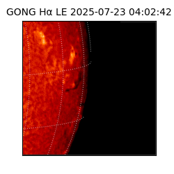 gong - 2025-07-23T04:02:42