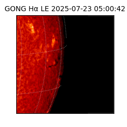 gong - 2025-07-23T05:00:42