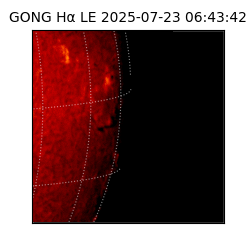 gong - 2025-07-23T06:43:42