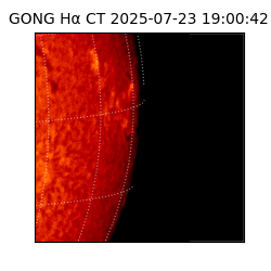 gong - 2025-07-23T19:00:42