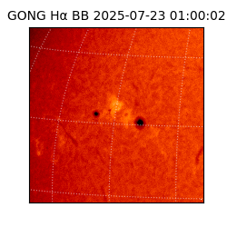 gong - 2025-07-23T01:00:02