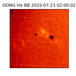 gong - 2025-07-23T02:00:02