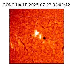 gong - 2025-07-23T04:02:42