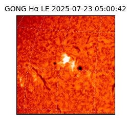 gong - 2025-07-23T05:00:42