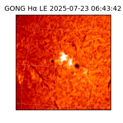 gong - 2025-07-23T06:43:42