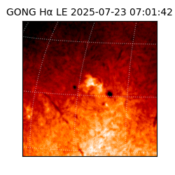 gong - 2025-07-23T07:01:42