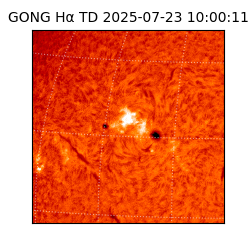 gong - 2025-07-23T10:00:11