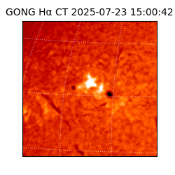 gong - 2025-07-23T15:00:42