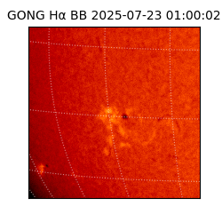 gong - 2025-07-23T01:00:02