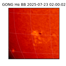 gong - 2025-07-23T02:00:02