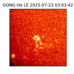 gong - 2025-07-23T03:03:42