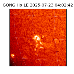 gong - 2025-07-23T04:02:42
