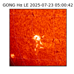 gong - 2025-07-23T05:00:42