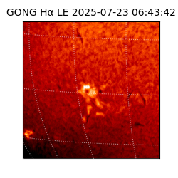 gong - 2025-07-23T06:43:42