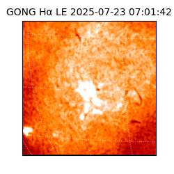 gong - 2025-07-23T07:01:42