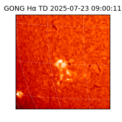 gong - 2025-07-23T09:00:11