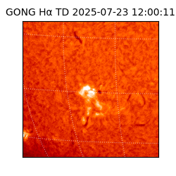 gong - 2025-07-23T12:00:11