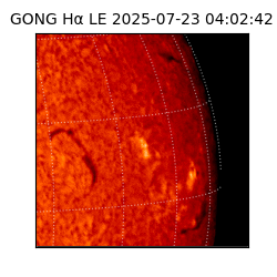 gong - 2025-07-23T04:02:42