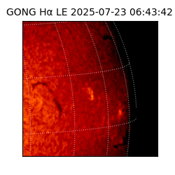 gong - 2025-07-23T06:43:42