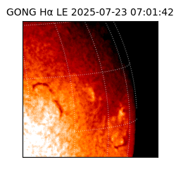 gong - 2025-07-23T07:01:42