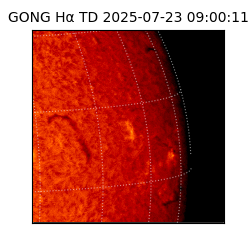 gong - 2025-07-23T09:00:11