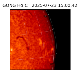 gong - 2025-07-23T15:00:42