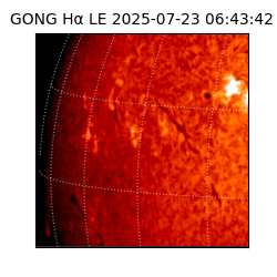 gong - 2025-07-23T06:43:42