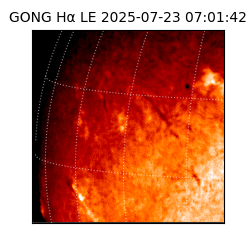 gong - 2025-07-23T07:01:42