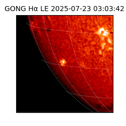 gong - 2025-07-23T03:03:42