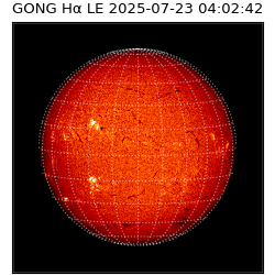 gong - 2025-07-23T04:02:42