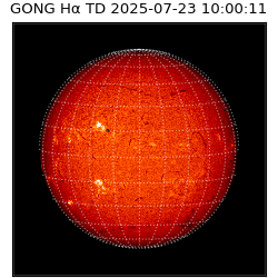 gong - 2025-07-23T10:00:11