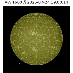 saia - 2025-07-24T19:00:14.126000
