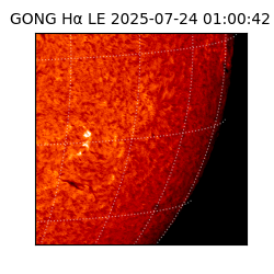 gong - 2025-07-24T01:00:42