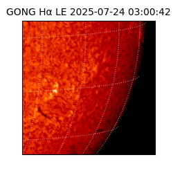 gong - 2025-07-24T03:00:42
