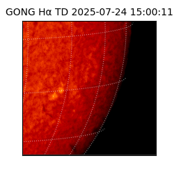 gong - 2025-07-24T15:00:11