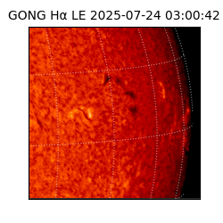 gong - 2025-07-24T03:00:42