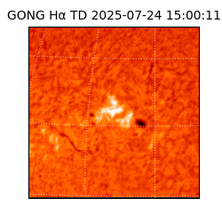 gong - 2025-07-24T15:00:11