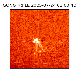 gong - 2025-07-24T01:00:42