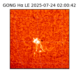 gong - 2025-07-24T02:00:42