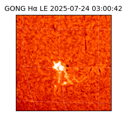 gong - 2025-07-24T03:00:42