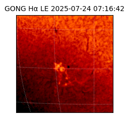 gong - 2025-07-24T07:16:42