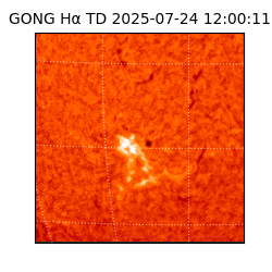 gong - 2025-07-24T12:00:11