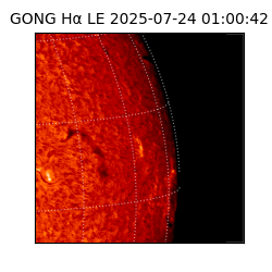 gong - 2025-07-24T01:00:42