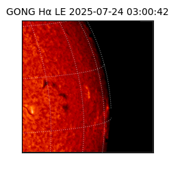 gong - 2025-07-24T03:00:42