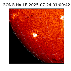 gong - 2025-07-24T01:00:42