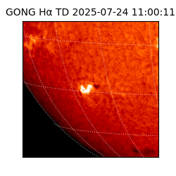 gong - 2025-07-24T11:00:11