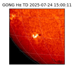 gong - 2025-07-24T15:00:11