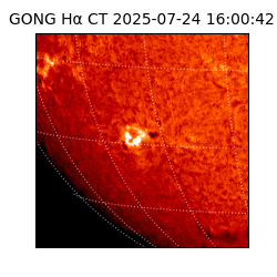 gong - 2025-07-24T16:00:42