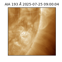 saia - 2025-07-25T09:00:04.843000