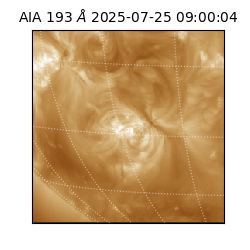 saia - 2025-07-25T09:00:04.843000